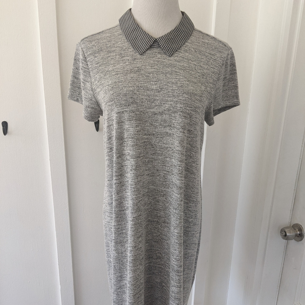 Maison Jules Peter pan collar dress - Picture 11 of 13